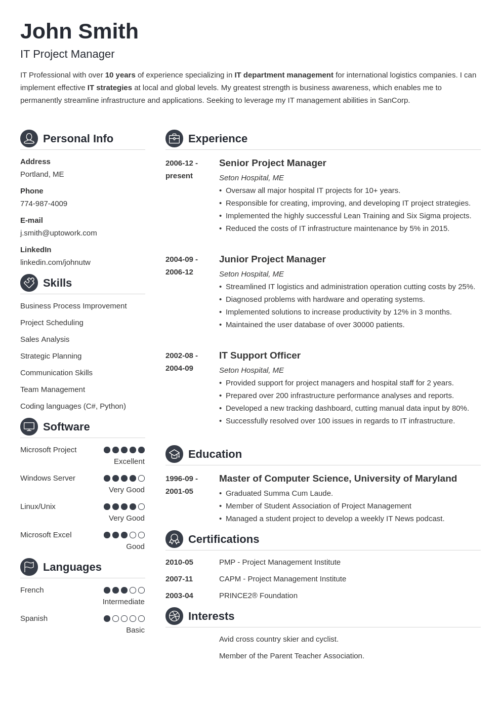 Professional CV Template Crisp