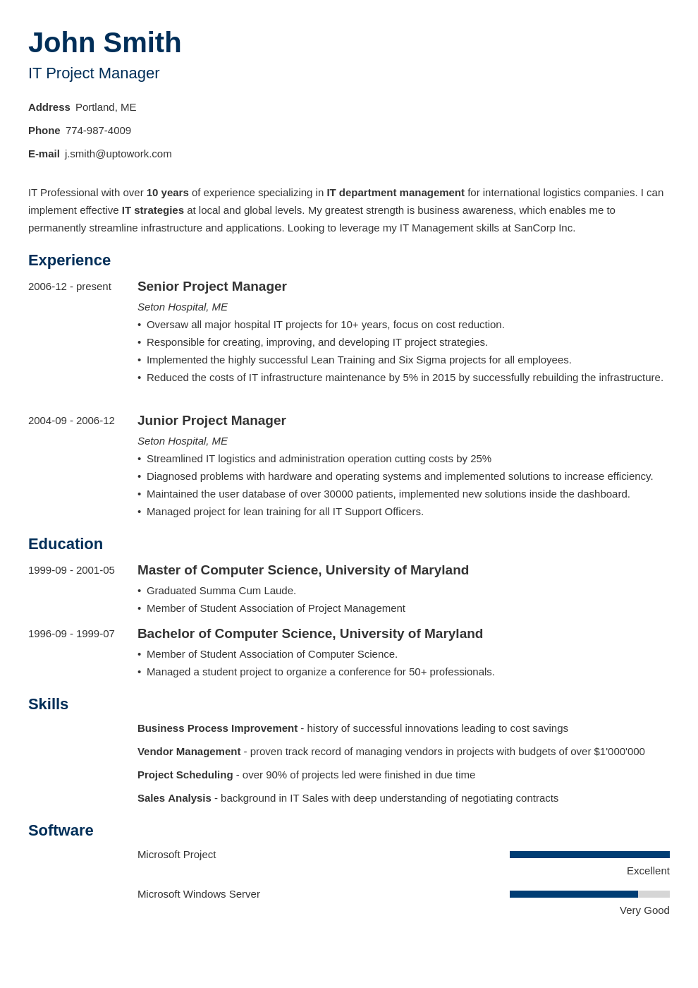 Professional CV Template Minimo