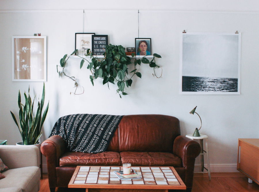 Декор растениями стены над кожаным диваном