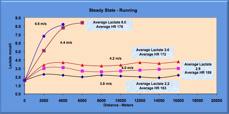maximal lactate steady state and lactate threshold for running