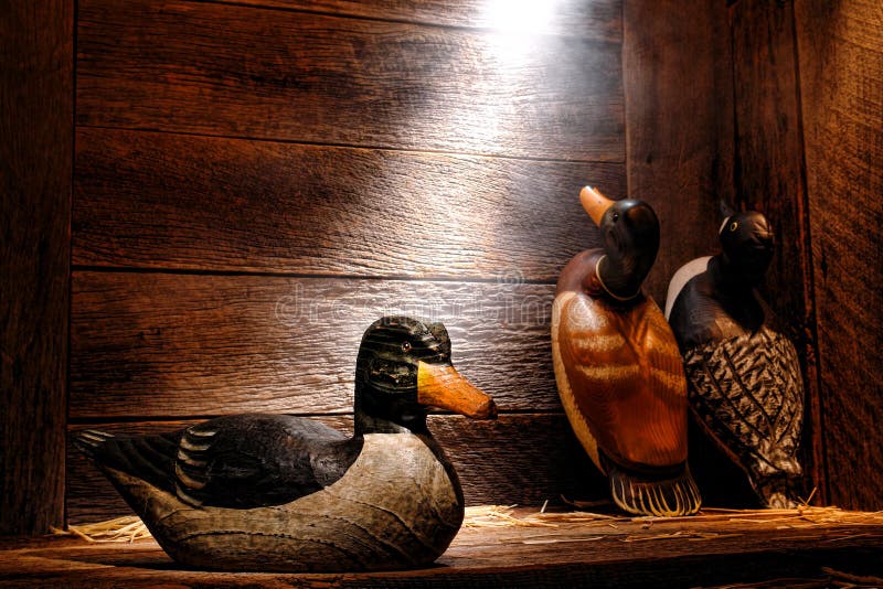 Antique Carved Wood Duck Decoy in Old Hunting Barn. Antique carved wood hunting duck decoy and aged traditional vintage decoys in an old wooden hunter barn or royalty free stock images