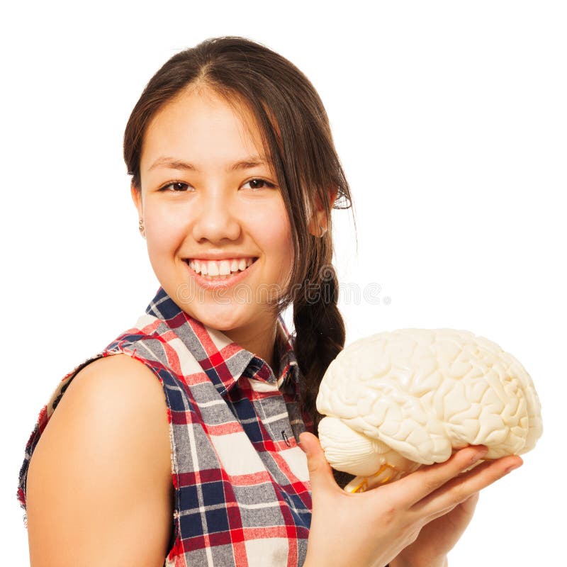 Asian 15 years old girl holding cerebrum model. Cute Asian 15 years old girl holding cerebrum model, isolated on white royalty free stock images