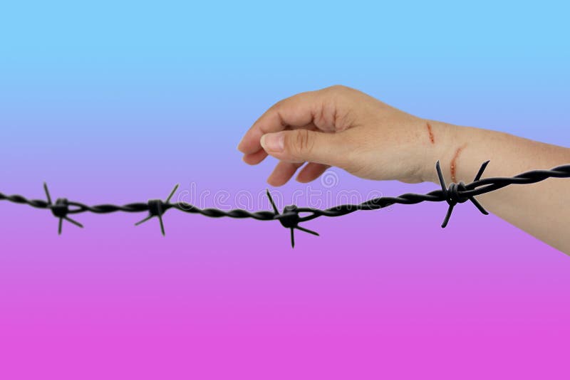 Barbed iron wire, symbol of restriction of freedom and a female hand with bloody scratches royalty free stock photography