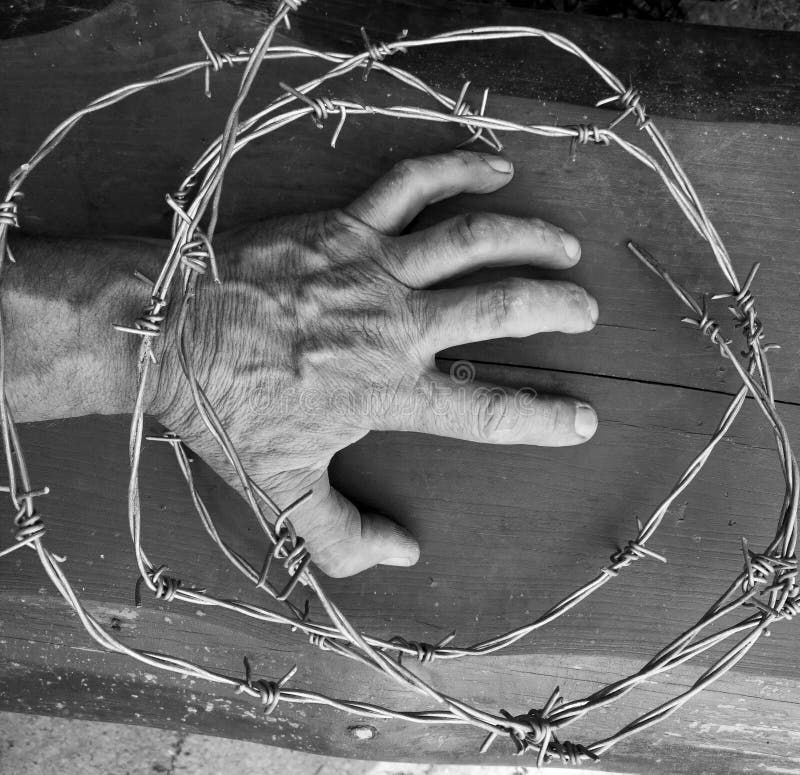 Barbed wire around the hand. Freedom concept.  stock image