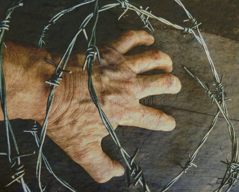 Barbed wire around the hand. Freedom concept.  stock images