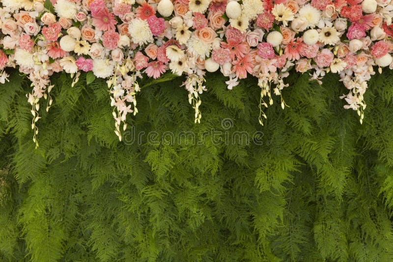 Beautiful flowers with green fern leaves wall background for wed stock images