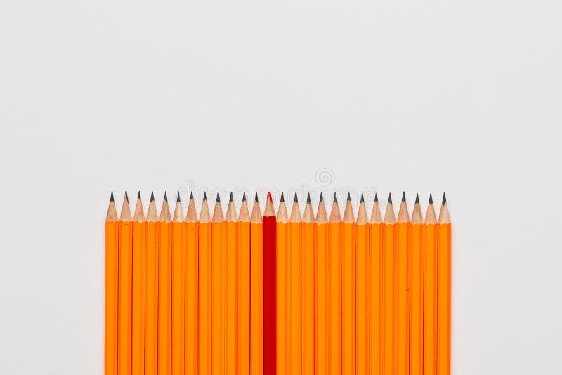 A bunch of pencils on white background, shot from above, aligned at the bottom, closeup. A bunch of wooden pencils on white background, shot from above, aligned stock images