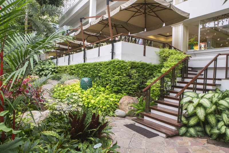 Chon Buri, Thailand March 28,2015 : wood stair way down to tropical garden luxury indoor green house. Garden at Dusit Thaini Pattaya, Thailand royalty free stock photography