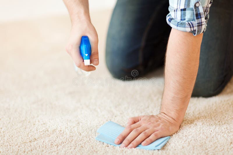 Close up of male cleaning stain on carpet stock image