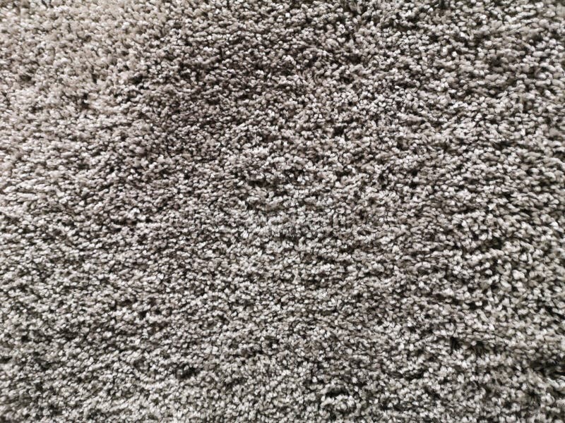Dense and wrinkled texture of a gray carpet with a thick pile. carpet background royalty free stock image