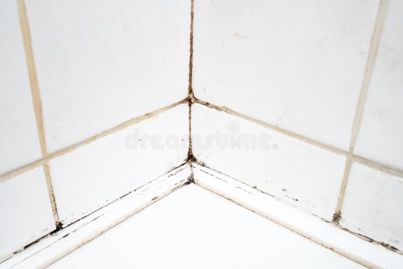 Dirty tiles in bathroom shower. Dirty tiles in a bathroom shower with sealant covevred in mould and mildew royalty free stock photo