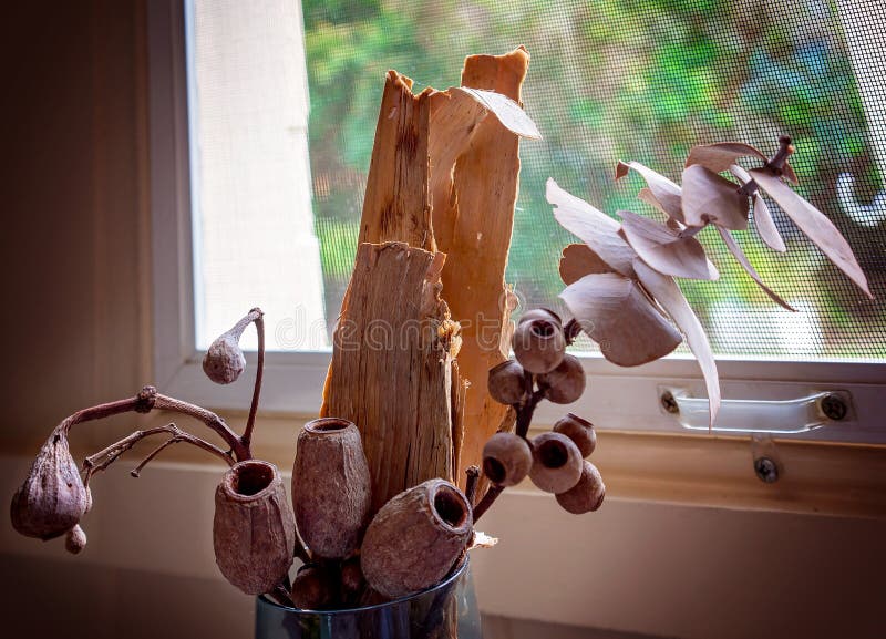 Dried Gum Nuts And Bark Table Decoration. Dried gumnuts and bark used as table decoration in an Australian bush food restaurant royalty free stock image