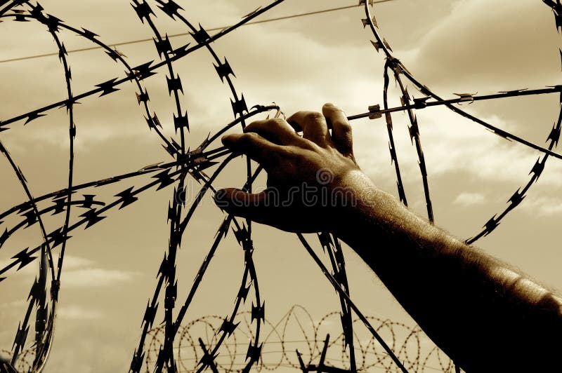 Escape for freedom. Barbed wire with hand. stock photo