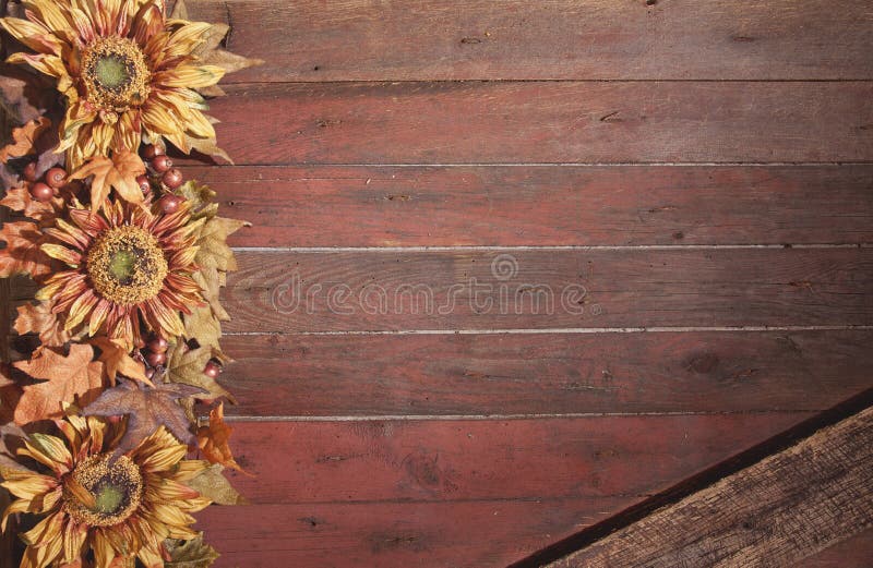 Fall border with sunflowers on grunge red wood background. A fall border with sunflowers on a grunge red wood background stock image