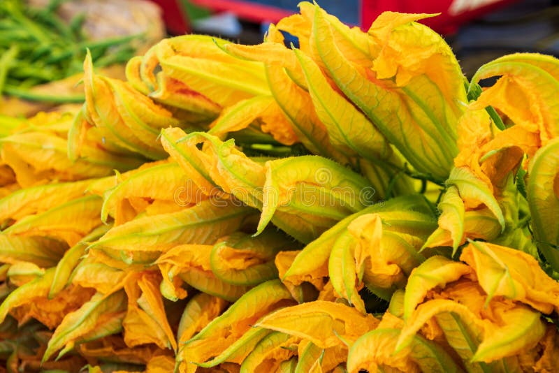 Fresh zucchini flower or courgettes in a farmer agricultural open air market, seasonal healthy food royalty free stock photo