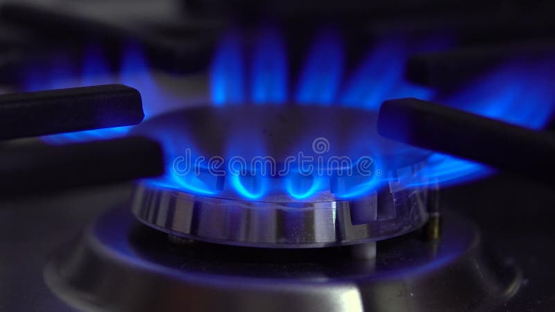 The gas burner on the stove burns. The flame is blue. 4k stock photos