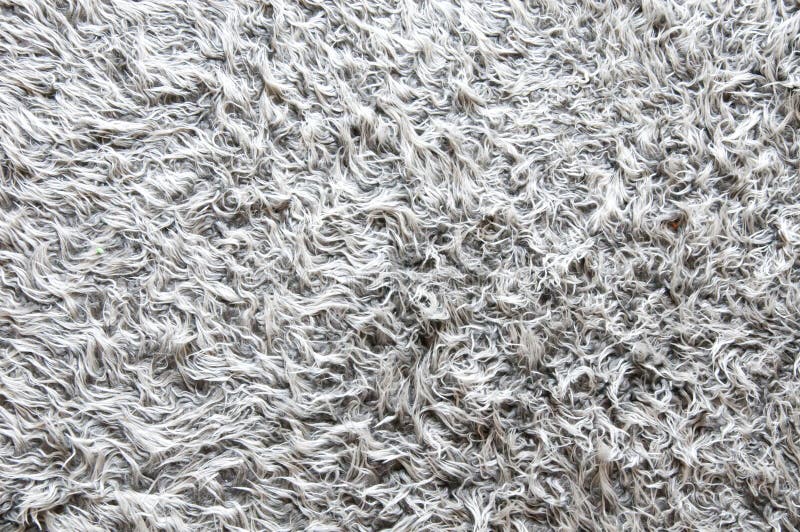 Gray Carpet. Surface for background stock photography