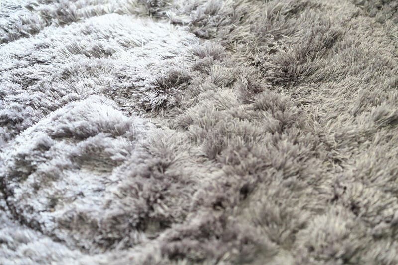 Gray furry carpet, as background. stock photography