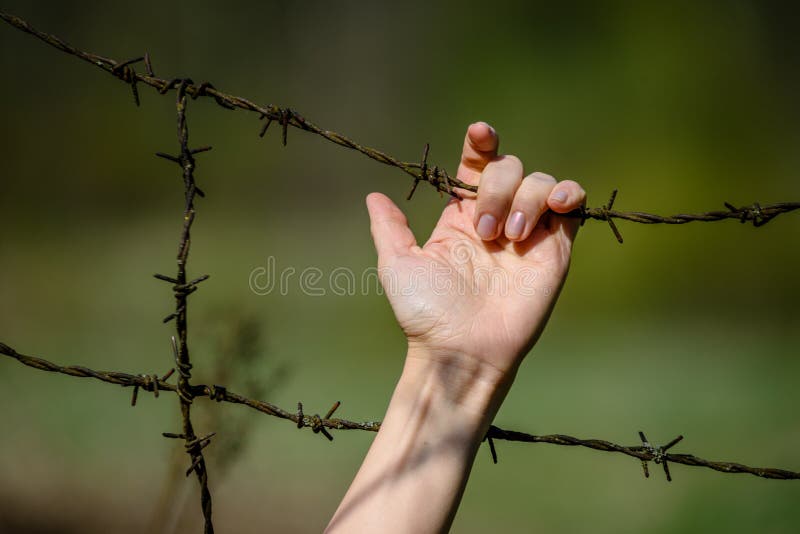 Hand clutch at barbed wire fence on green background. Womans Hand clutch at barbed wire fence on green background royalty free stock photography
