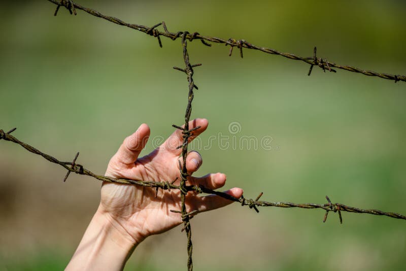 Hand clutch at barbed wire fence on green background. Womans Hand clutch at barbed wire fence on green background stock photography