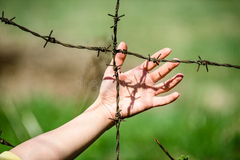 Hand clutch at barbed wire fence on green background. Womans Hand clutch at barbed wire fence on green background stock images