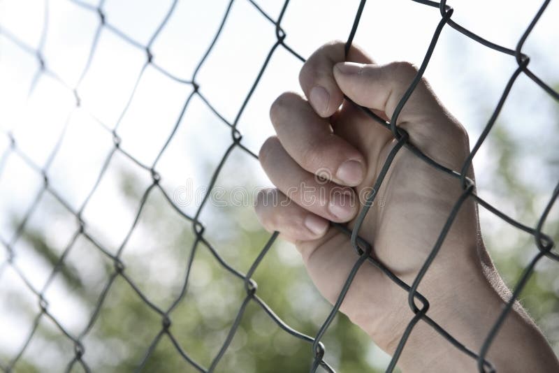Hand on fence royalty free stock images