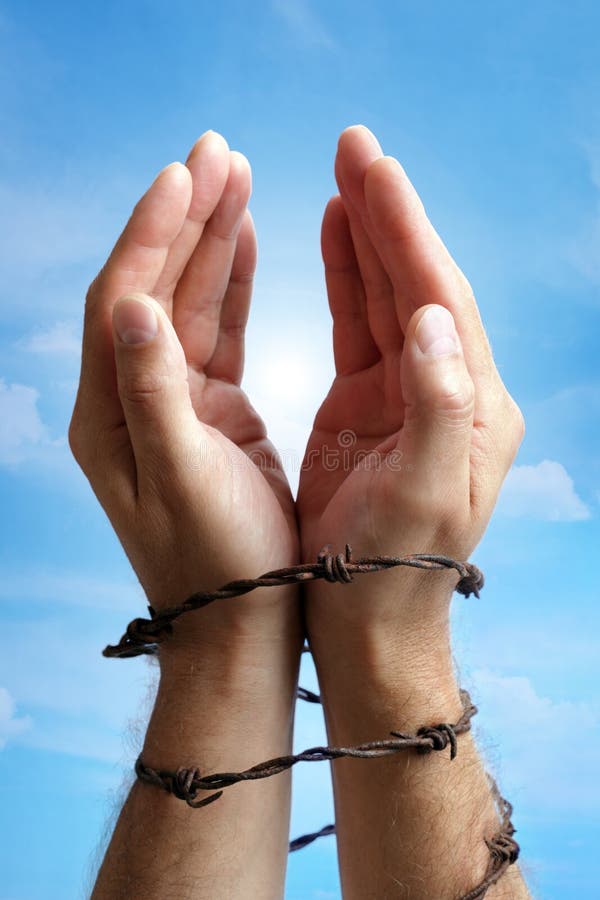 Hands tied with barbed wire royalty free stock image