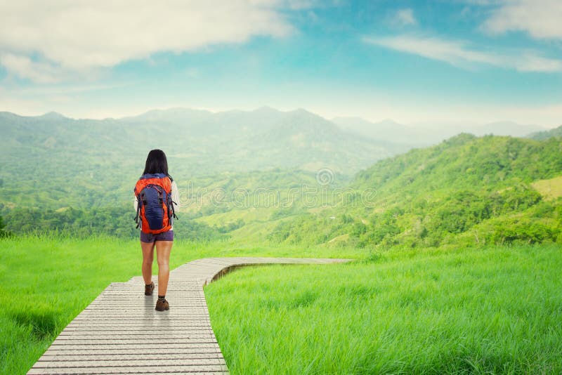 Hiker walking on wood path. Rear view of female backpacker walking on the wood path while carrying backpack for hiking royalty free stock photography