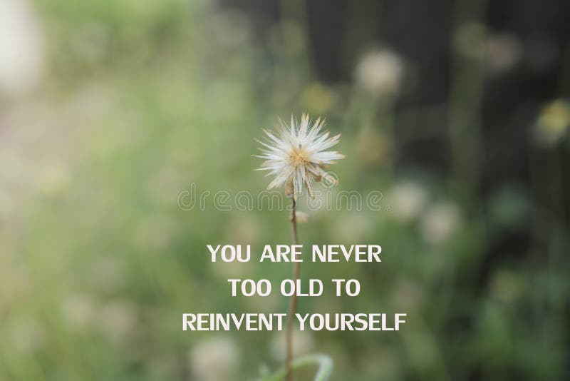 Inspirational quote - You are never too old to reinvent yourself. With white flower on green grass meadow background royalty free stock images