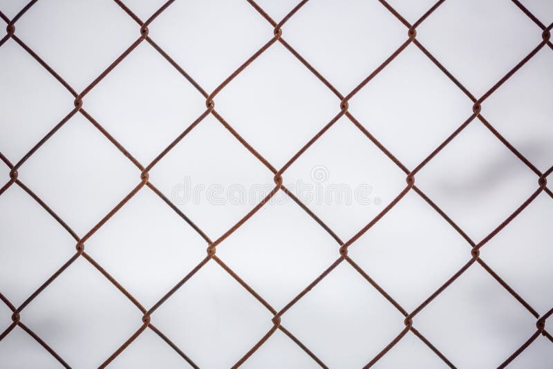 Iron mesh netting, metal mesh texture.  stock image