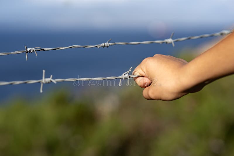 Little hand in barbed wire royalty free stock photos