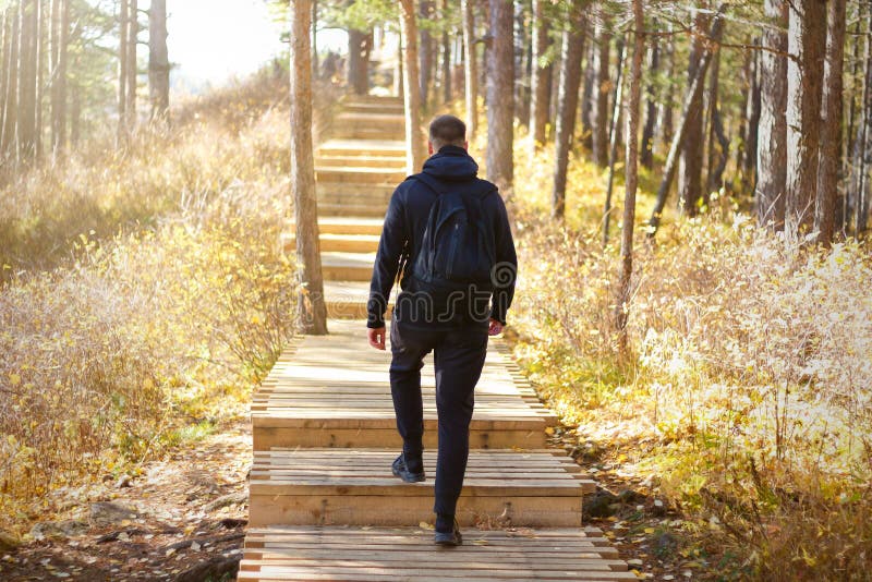 A man with a backpack up the stairs in the woods. Sunny wood. Wooden staircase.  stock photography