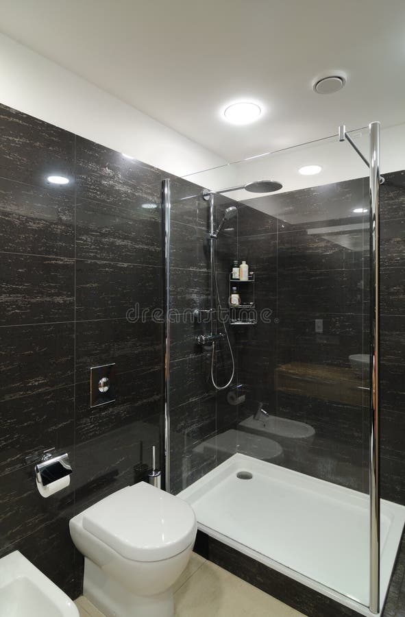 MODERN GREY BATHROOM. Including shower, toilet bowl and bidet royalty free stock photography