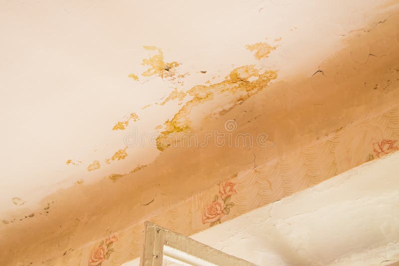 Mold on the ceiling in the old apartment.  stock photo