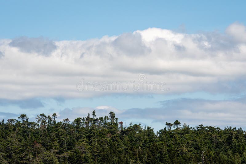 Nature background of blue sky and white puffy clouds, evergreen tree covered hill tops at the bottom, San Juan Islands royalty free stock photos