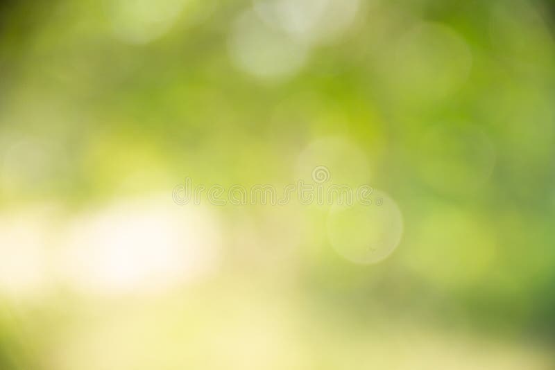 Natural green bokeh is caused by blurring of the image. royalty free stock images