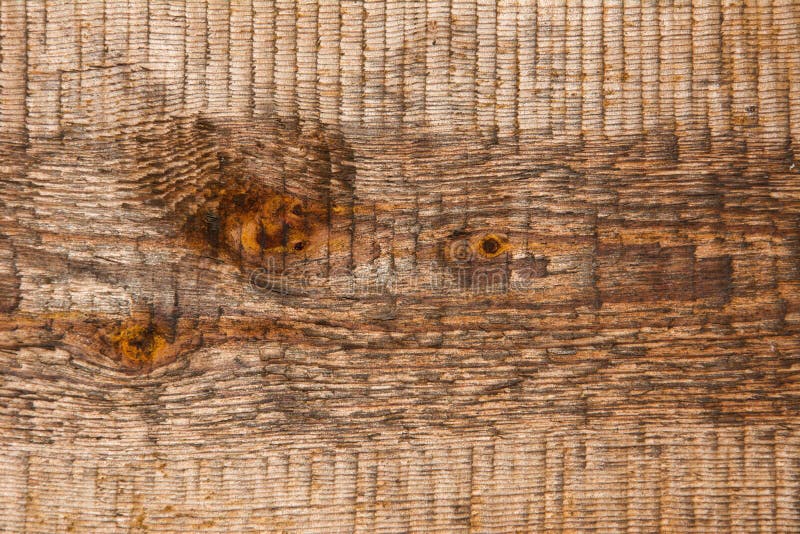 Old dark wood texture background, structure of natural untreated wooden surface with peeling fibers and cracks. Closeup abstract. Old dark wood texture royalty free stock images