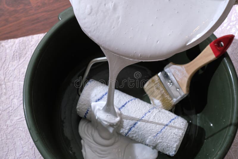 Open can with white water-based paint. The paint roller is medium in size. Tools prepared for the whitewashing of ceilings and walls in the apartment with your stock photo