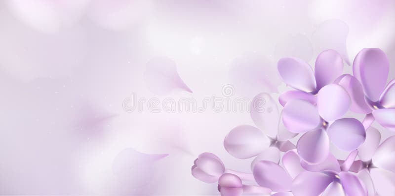 Pastel background with lilac flowers. Soft pastel color floral background. Purple Lilac flowers and petals watercolor style vector illustration template vector illustration