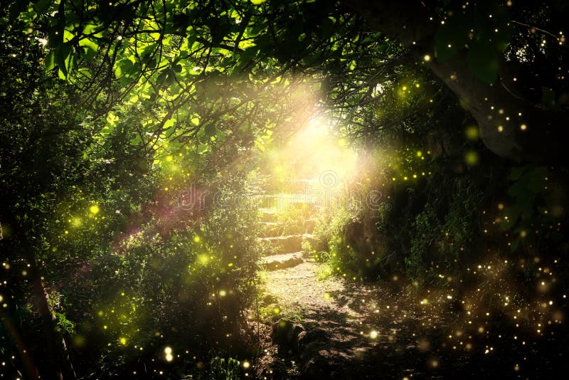 Road and stone stairs in magical and mysterious dark forest with mystical sun light and firefly. Fairy tale concept stock illustration