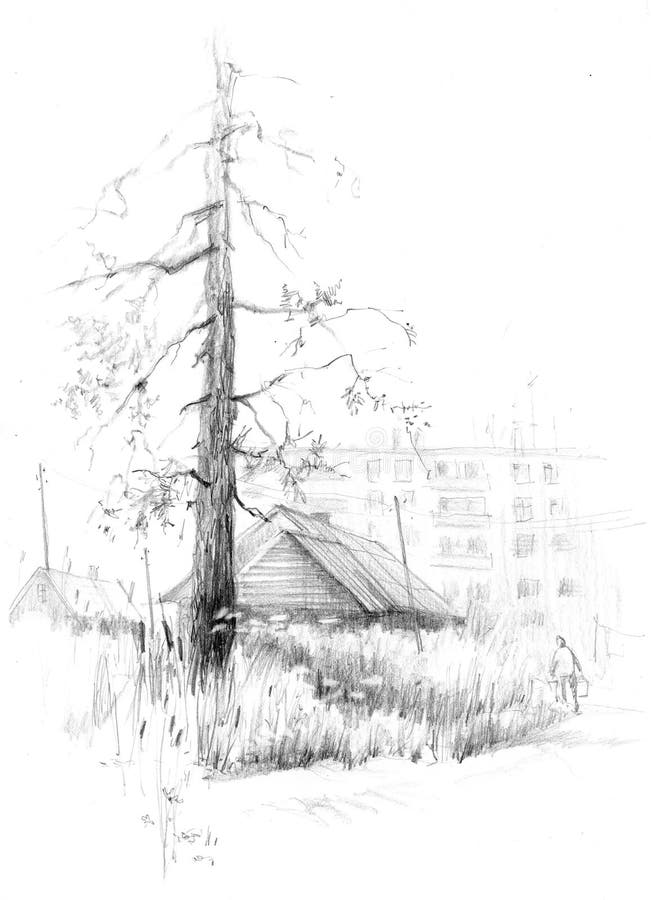 Pencil drawing. Rural landscape. Lonely pine and small wooden house. From russia with love. Pencil drawing. Rural landscape. Lonely pine and small wooden house vector illustration