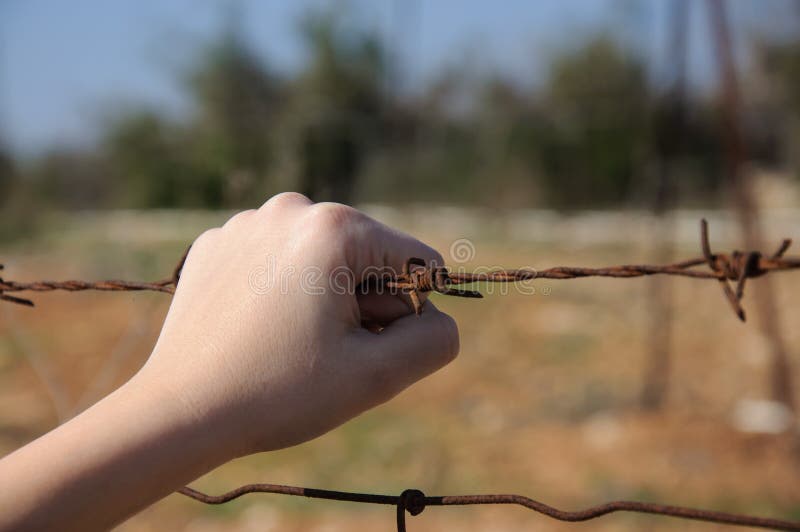 Rusty barbed wire in a child