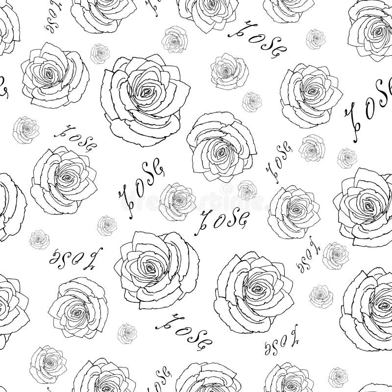 Seamless pattern of roses. Stylish wallpaper with falling colors and inscriptions. Stylish seamless pattern with flowers on a white background. Wallpaper with vector illustration
