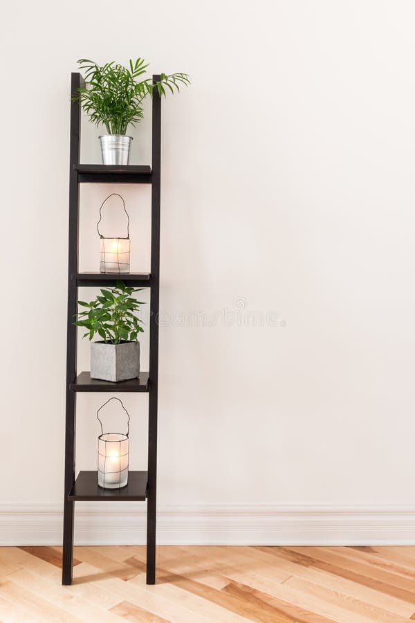 Shelf with plants and lanterns stock image