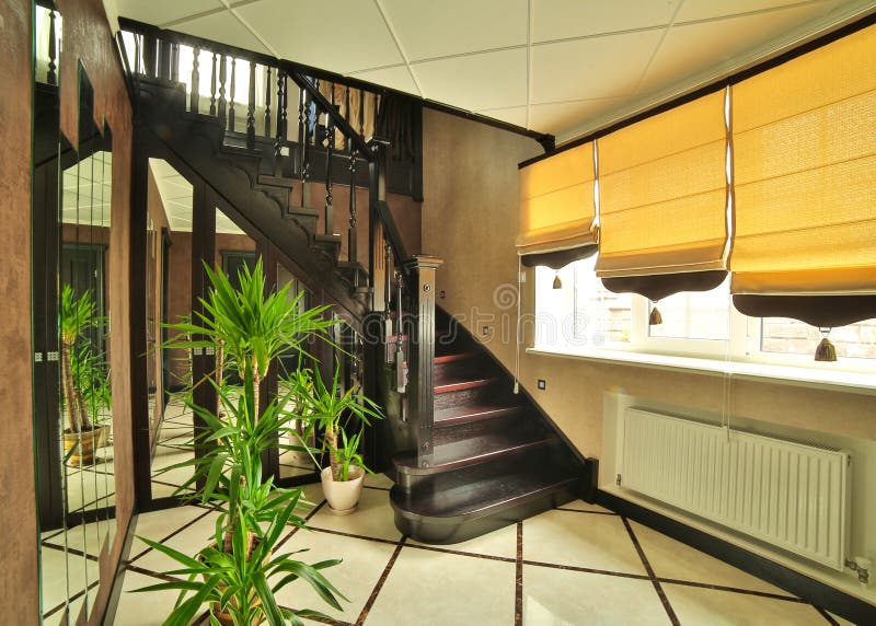 Stairs and stair carpet inside a newly modernised house. interior ha