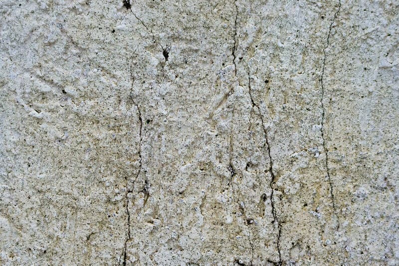 Texture of the decorative stucco wall as a background. Bark beet. Le style stock photography