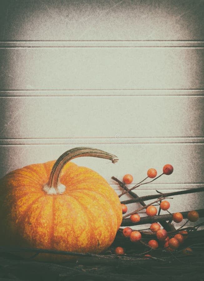 Thanksgiving or Halloween Vertical Invite Card in Dark, Moody Grunge Tones with blank room or space above for copy, text or words. It has mini pumpkin, orange royalty free stock images
