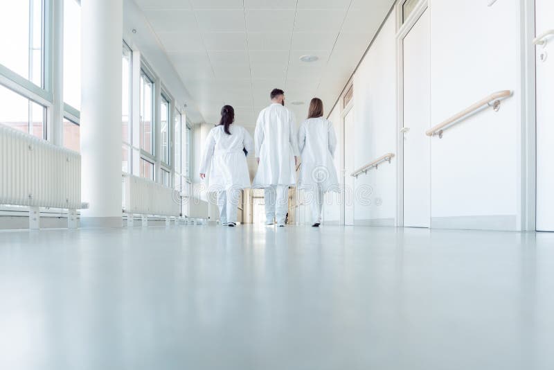 Three doctors walking down a corridor in hospital. Seen from behind royalty free stock image