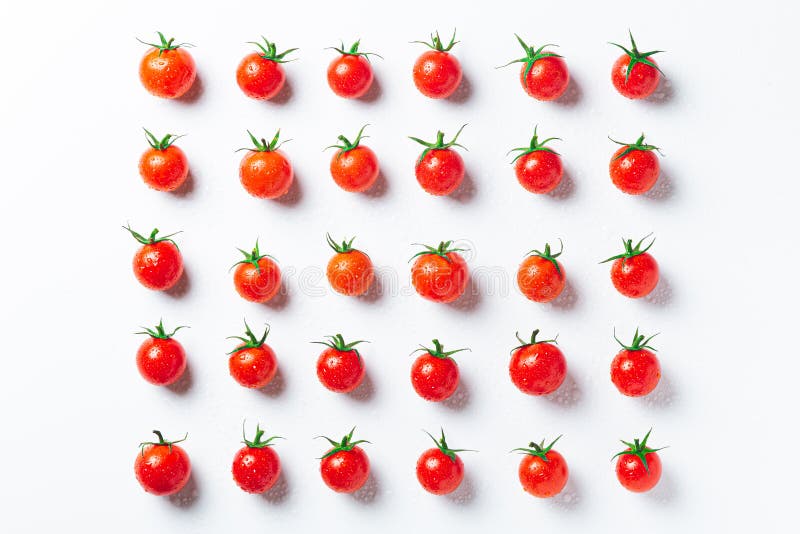 Very fresch tomatoes in symmetrical composition on white background, top view stock photography