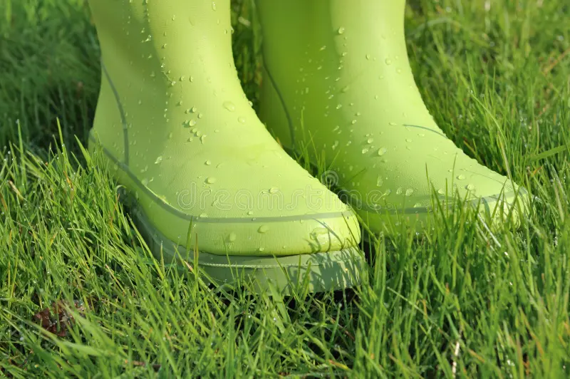 Water drops on rubber boots stock image